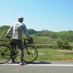 棚田を眺める稲葉