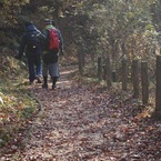 だんだん暑くなってきます