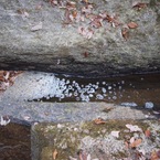 ポリューション