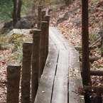 さわわたりの路