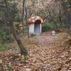 キノコハウス発見