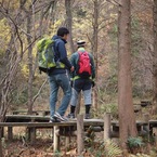 あえて八つ橋を渡る