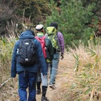 さらに頂上を目指します