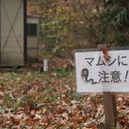 マムシに注意