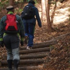 階段をさらに登る