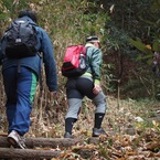 まだまだ登ります