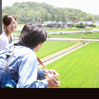 田園を眺める